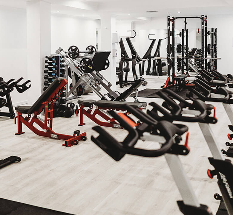 A FEW WORDS ABOUT THE CLUB